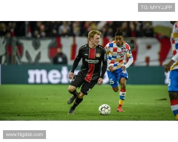 布兰特技术全面性