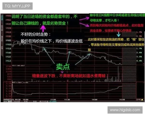 主力稳如泰山，替补深度不足问题逐步反映于比赛轮换中
